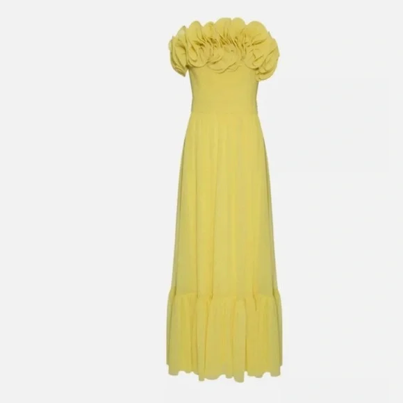 PatBo Pleated Strapless Maxi Dress - Picture 5 of 5